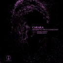 Carara - Magnetic Field (Original Mix)