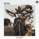 Dr Feel feat. Zhane - Wallow