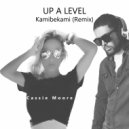 Cassie Moore - UP A LEVEL (Kamibekami Remix)