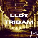 LLDT - Tribam (Original mix)