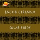 Jacob Ciriako - Sour Birds (Radio Edit)