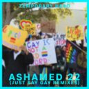 Temporary Hero - Ashamed 22 (Romeo\'s Fault Just Say Gay LoFi Mix)