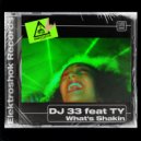 Dj 33 Feat TY - What's Shakin