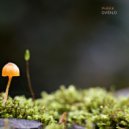 Pheek - Traversée II (Original Mix)