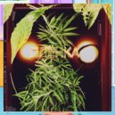 ВидВуд - Плёнка (Original Mix)