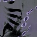 D. Tiffany & Roza Terenzi - Possession