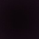 PLEYMAN - WHY NOT ()