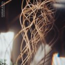 Faodail & PLYA - Strangers Gone Missing