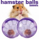 Hamster Balls - sunset from hill ()