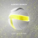 Aleksey Ekimov - Lost In The Fire (Extended Mix)