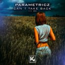 Parametricz - Can\'t take back (Original Mix)