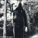 MARINO FINESSA & BRACO GACEVIC - Calling Dragon (Original Mix)
