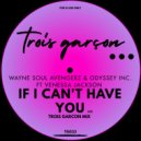 Wayne Soul Avengerz & Odyssey Inc. ft. Venessa Jackson - If I Can\'t Have You (Trois Garcon Mix)