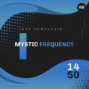 Igor Pumphonia - Mystic Frequency (Original Mix)