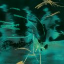 kbkbts. & tennywhite - colors ()