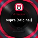 vl raccoon - supra (original)