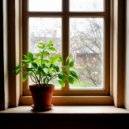 НЕпубличны - Дамам бит ()