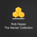 Rob Hayes - Days Go By (Original Mix)
